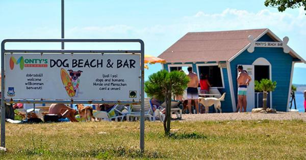 Apartman Brankica Crikvenica Buitenkant foto